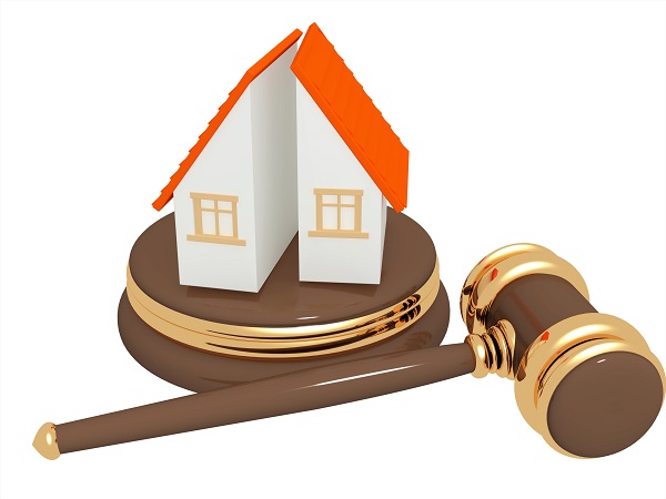 vector image of a miniature house with a law gavel